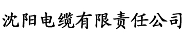 91香蕉视频官方电缆厂logo